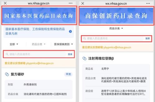 什么是商保创新药品目录及其查询方法的全面解析